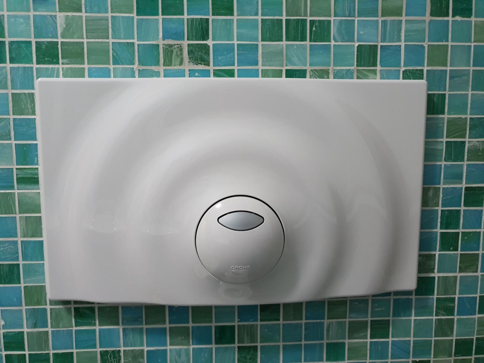 GROHE Surf 37859SH0 placca WC bianca 2 tasti risparmio