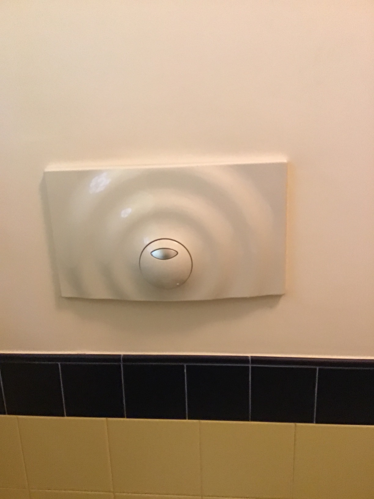 GROHE Surf 37859SH0 placca WC bianca 2 tasti risparmio